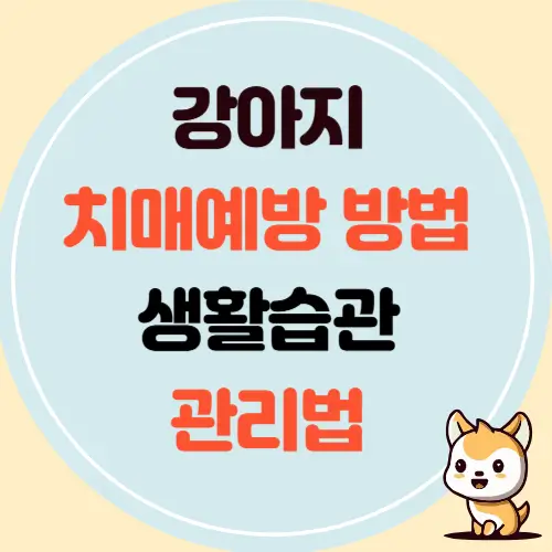 강아지 치매 예방 방법, 생활습관, 관리법