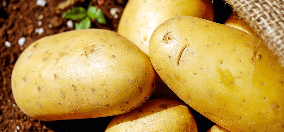 감자밭에 바구니와 감자가 놓여 있다