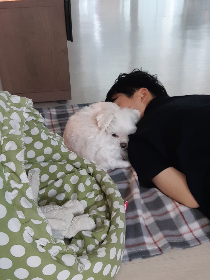  코로나19로 혼자 있는 시간이 많아..