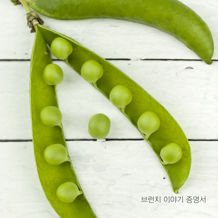 콩 효능 모든것, 콩 영양성분 및 콩과 함께 먹으면 좋은 영양소 이야기