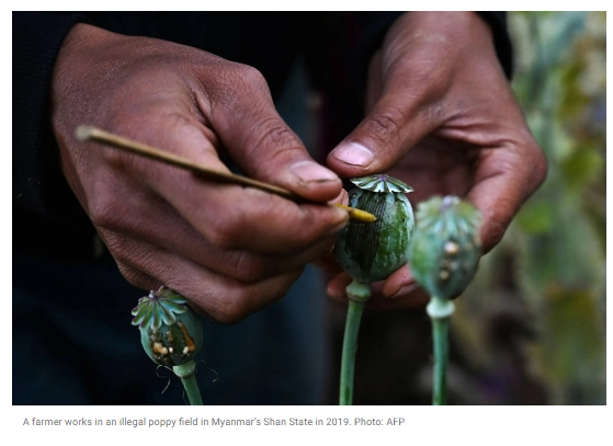 세계 최대 아편 생산국&#44; 아프가니스탄에서 미얀마로 Forget Afghanistan&#44; Myanmar is now the world’s top opium producer&#44; UN says