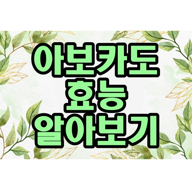  아보카도 효능 10가지 알아보기