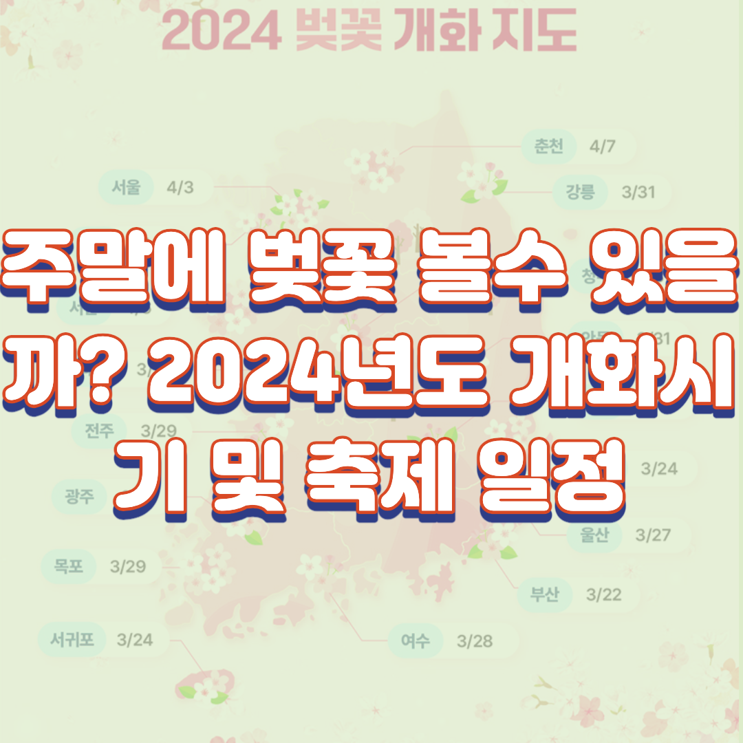  주말에 벚꽃 볼수 있을까? 2024년도 개화시기 및 축제 일정