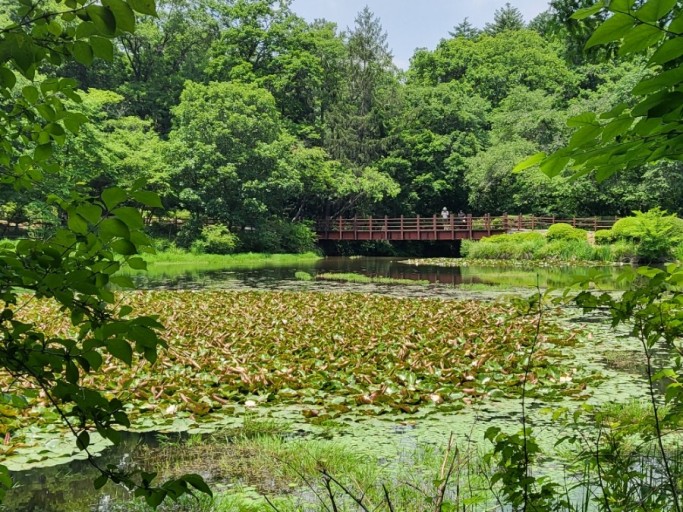 포천 국립수목원