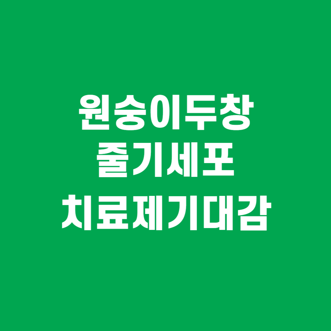 파미셀 뉴스