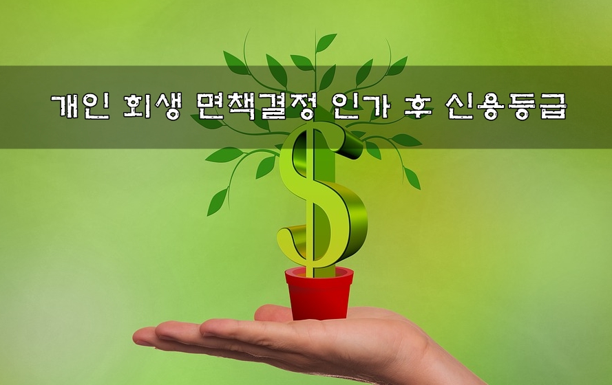  개인 회생 면책 결정 인가 후 신용등급이 안 올라요.