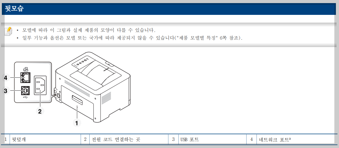 뒷모습