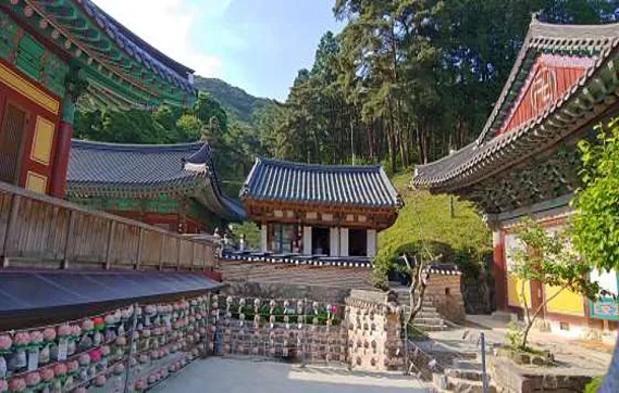 동학사