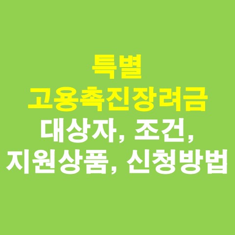  특별 고용촉진장려금 대상자, 조건, 지원상품, 신청방법 총정리(고용창출장려금)