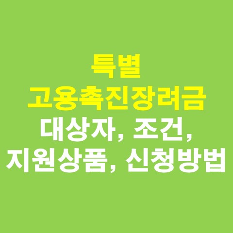 특별 고용촉진장려금 대상자&#44; 조건&#44; 지원상품&#44; 신청방법 총정리(고용창출장려금)_썸네일