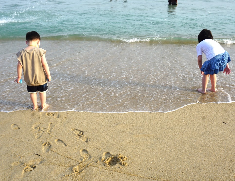 해운대시장 해운대 골든튤립호텔 4