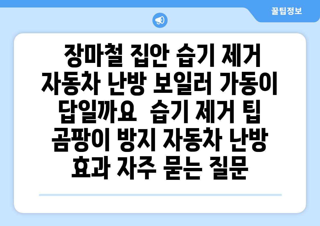 장마철 집안 습기 제거 자동차 난방 보일러 가동이 답일까요 습기 제거 팁 곰팡이 방지 자동차 난방 효과 자주 묻는 질문