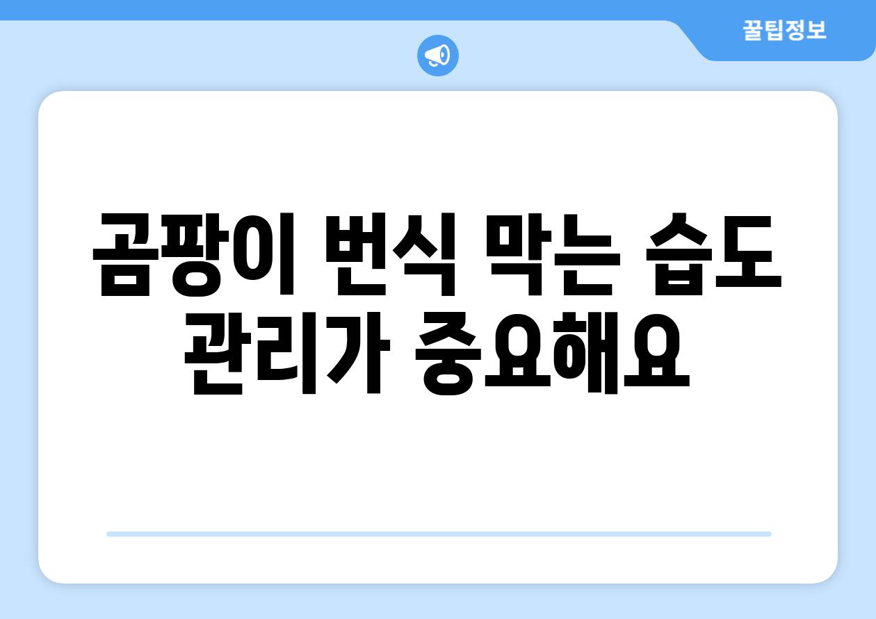 곰팡이 번식 막는 습도 관리가 중요해요