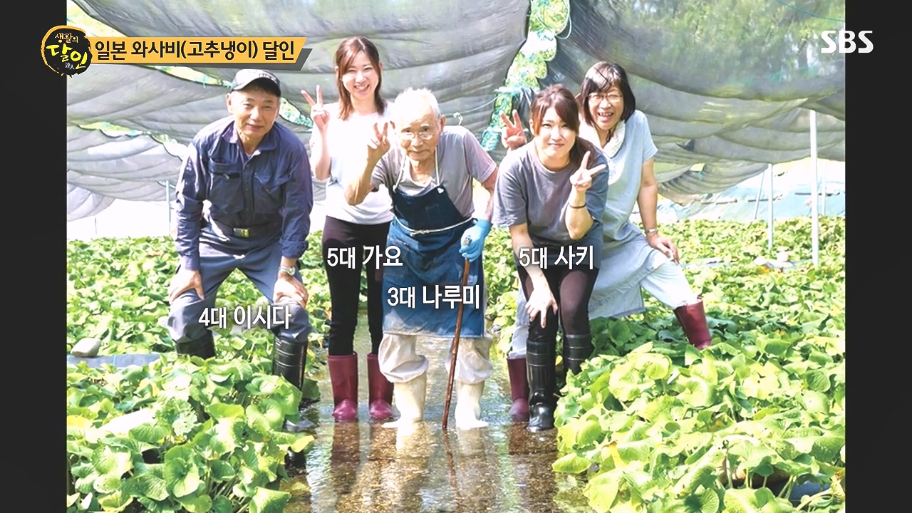 생활의 달인.E908.231017p-NEXT.mp4_20231017_200123.613.jpg