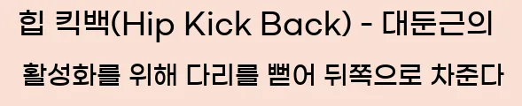  2. 힙 킥백(Hip Kick Back) - 대둔근의 활성화를 위해, 다리를 뻗어 뒤쪽으로 차준다.