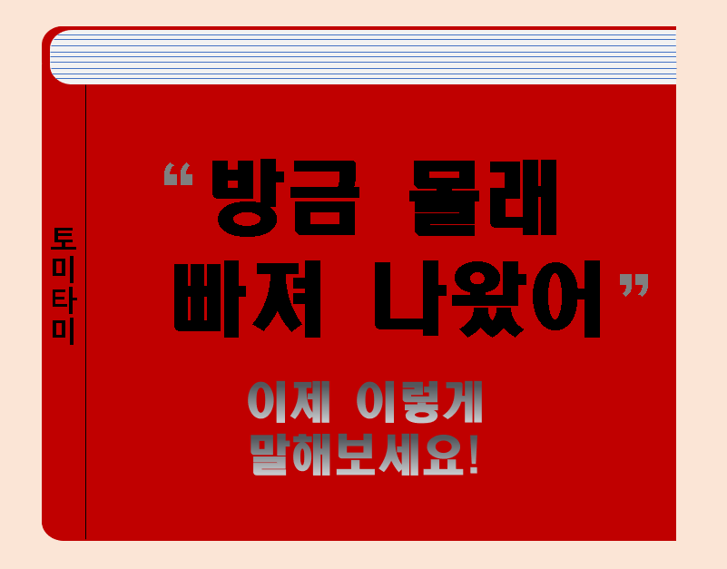  [오늘의 영어표현] Sneak out 이라는 표현이 궁금하다면?