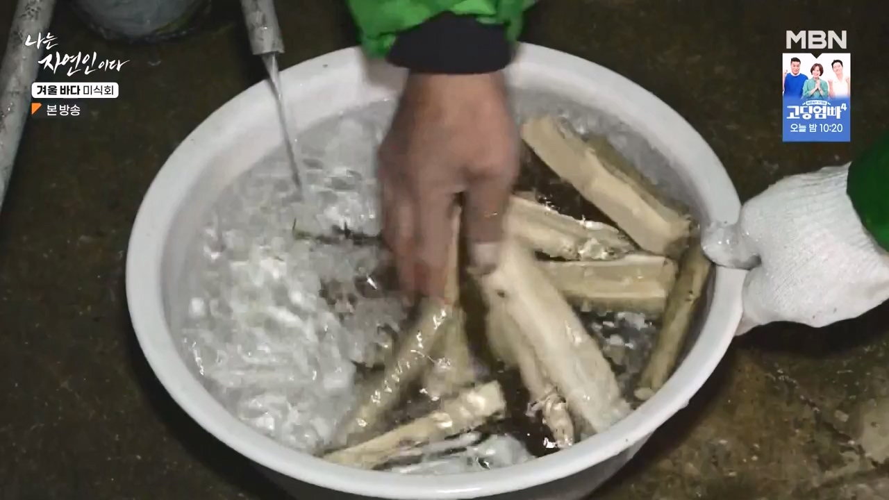나는 자연인이다.E584.231214p-NEXT.mp4_20231214_194916.171.jpg