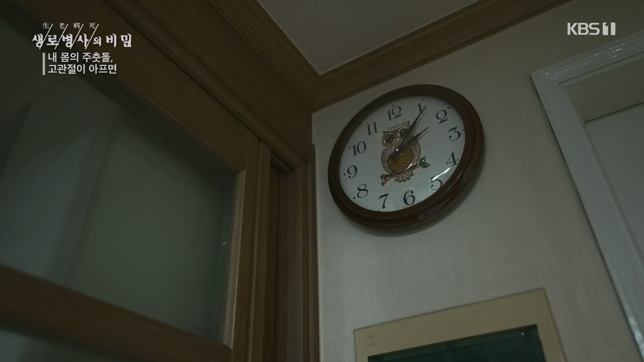 생로병사의 비밀.E890.231116p-NEXT.mp4_20231116_204858.361.jpg