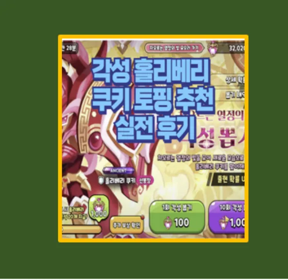 각성 홀리베리 쿠키