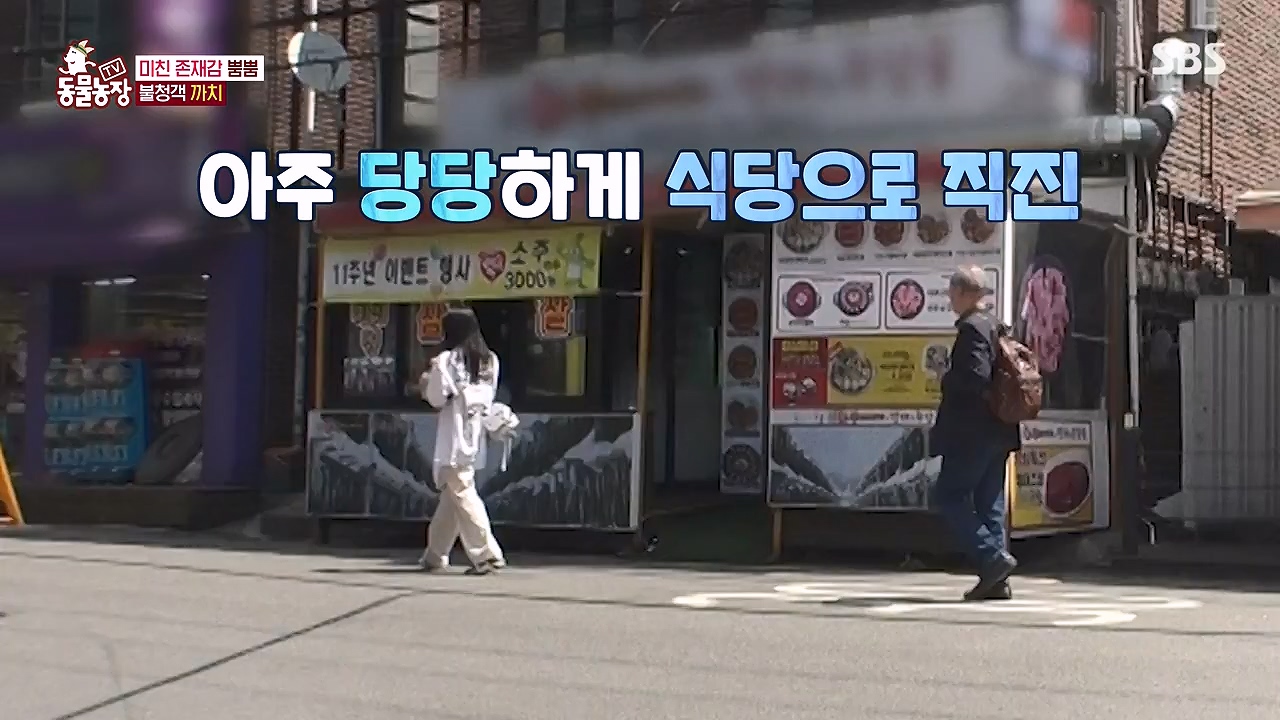 TV 동물농장.E1177.240624p-NEXT.mp4_20240623_163744.616.jpg