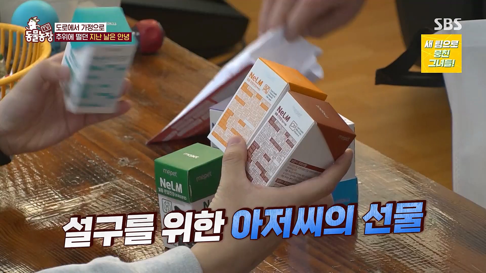 TV 동물농장.E1104.230115p.H264-F1RST.mp4_20230115_173219.179.jpg