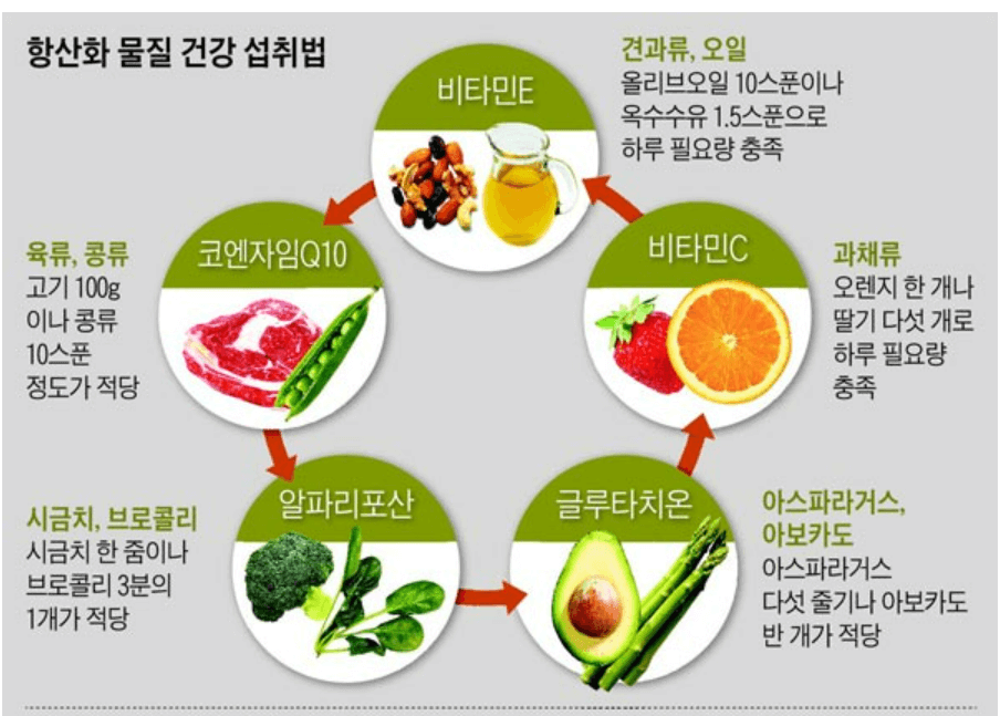 갱년기 증상 갱년기 영양제 추천