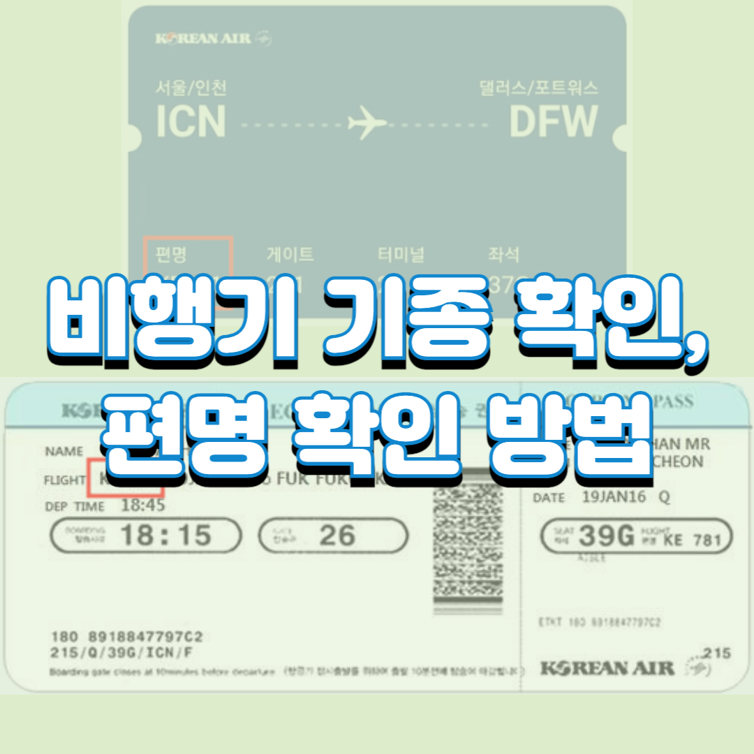  비행기 기종 확인 하는 방법, 편명 확인 방법(보잉 타도 될까?)