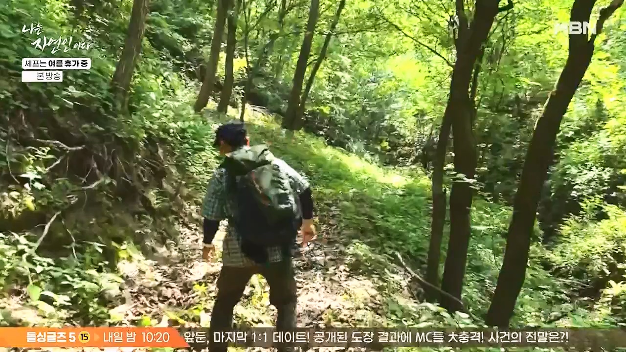 나는 자연인이다.E611.240627p-NEXT.mp4_20240627_195557.479.jpg