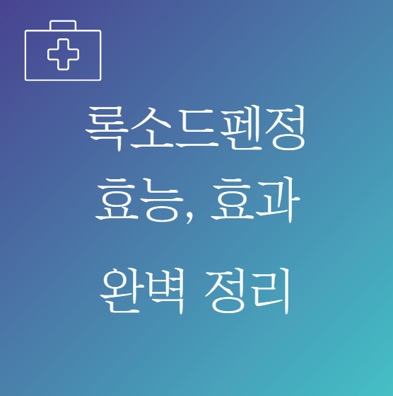 록소드펜정