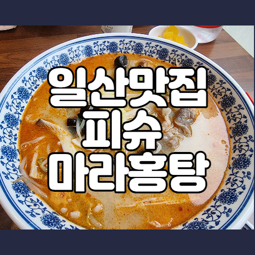  마라탕 덕후가 인정하는 일산 마라탕 맛집 피슈 마라홍탕