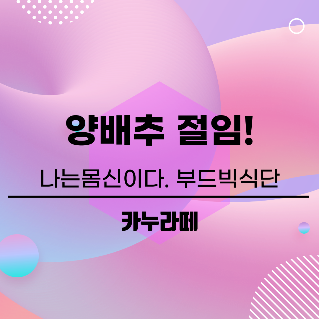  만성염증을 잡아주는 부드빅 식단 나는몸신이다 양배추절임