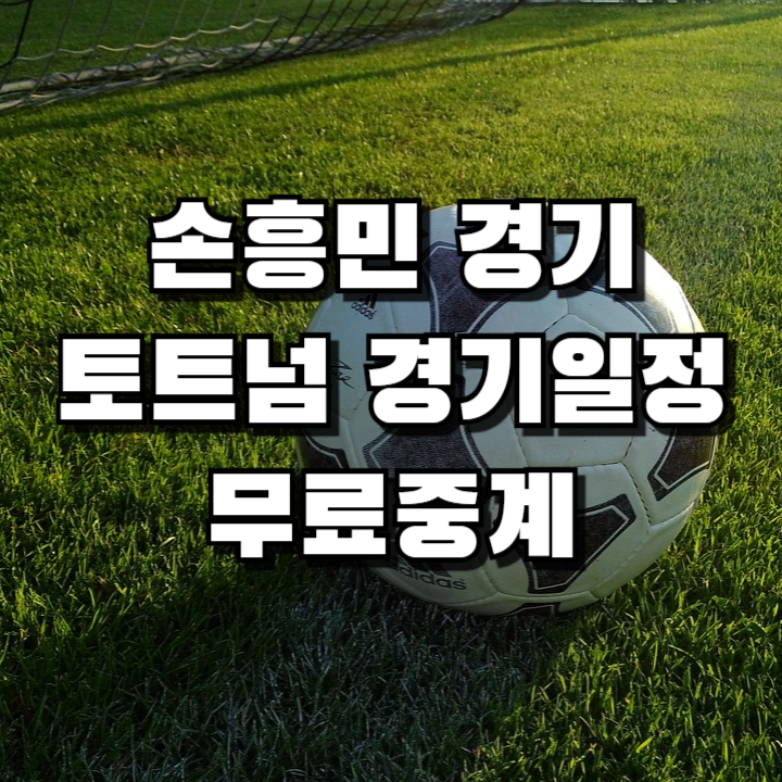 토트넘 경기 일정 - 토트넘 핫스퍼 FC 무료 중계 (손흥민 경기 일정)