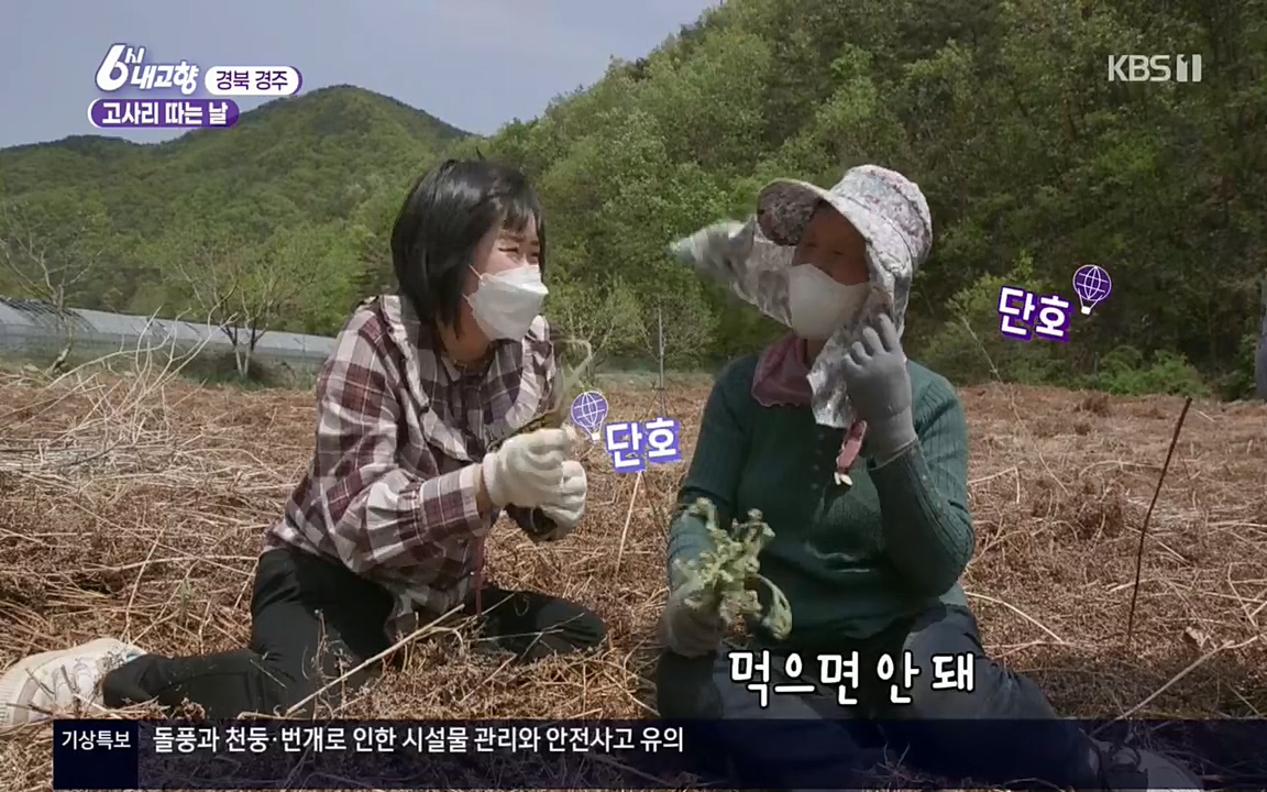 6시 내고향.E7518.220426p.H264-F1RST.mp4_20220504_185228.382.jpg