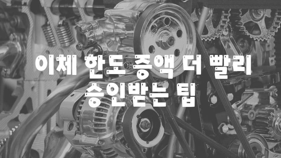  이체 한도 증액 더 빨리 승인받는 팁