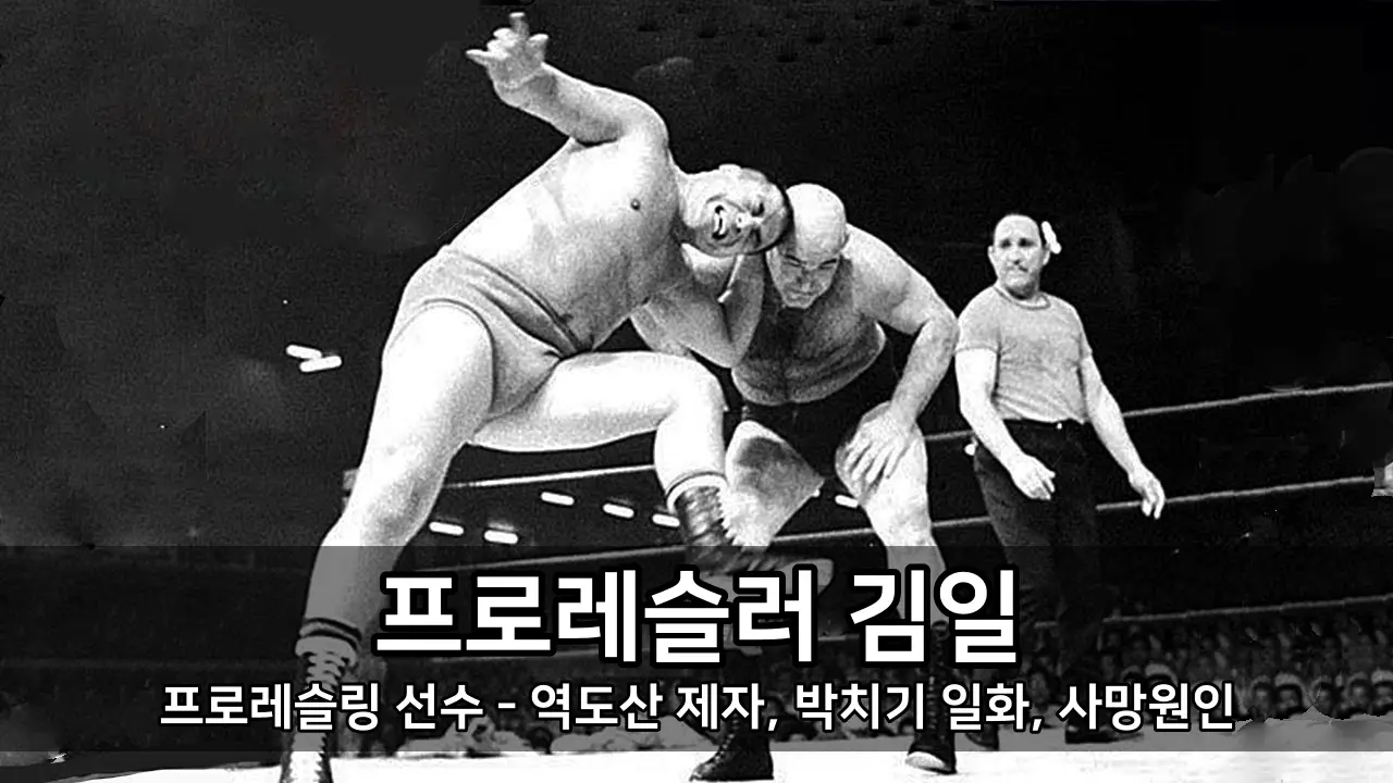 프로레슬링 레슬러 김일 선수 - 역도산 제자, 박치기 일화, 사망원인