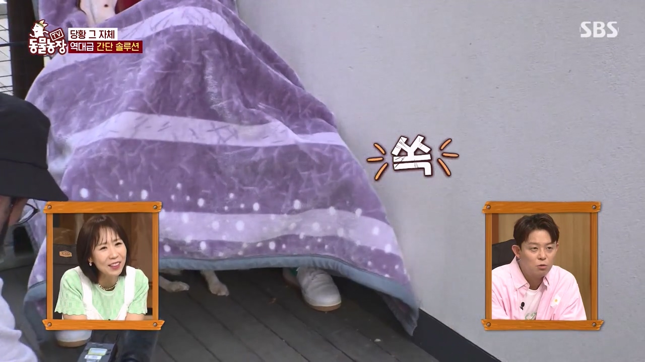 TV 동물농장.E1172.240520p-NEXT.mp4_20240519_164959.961.jpg