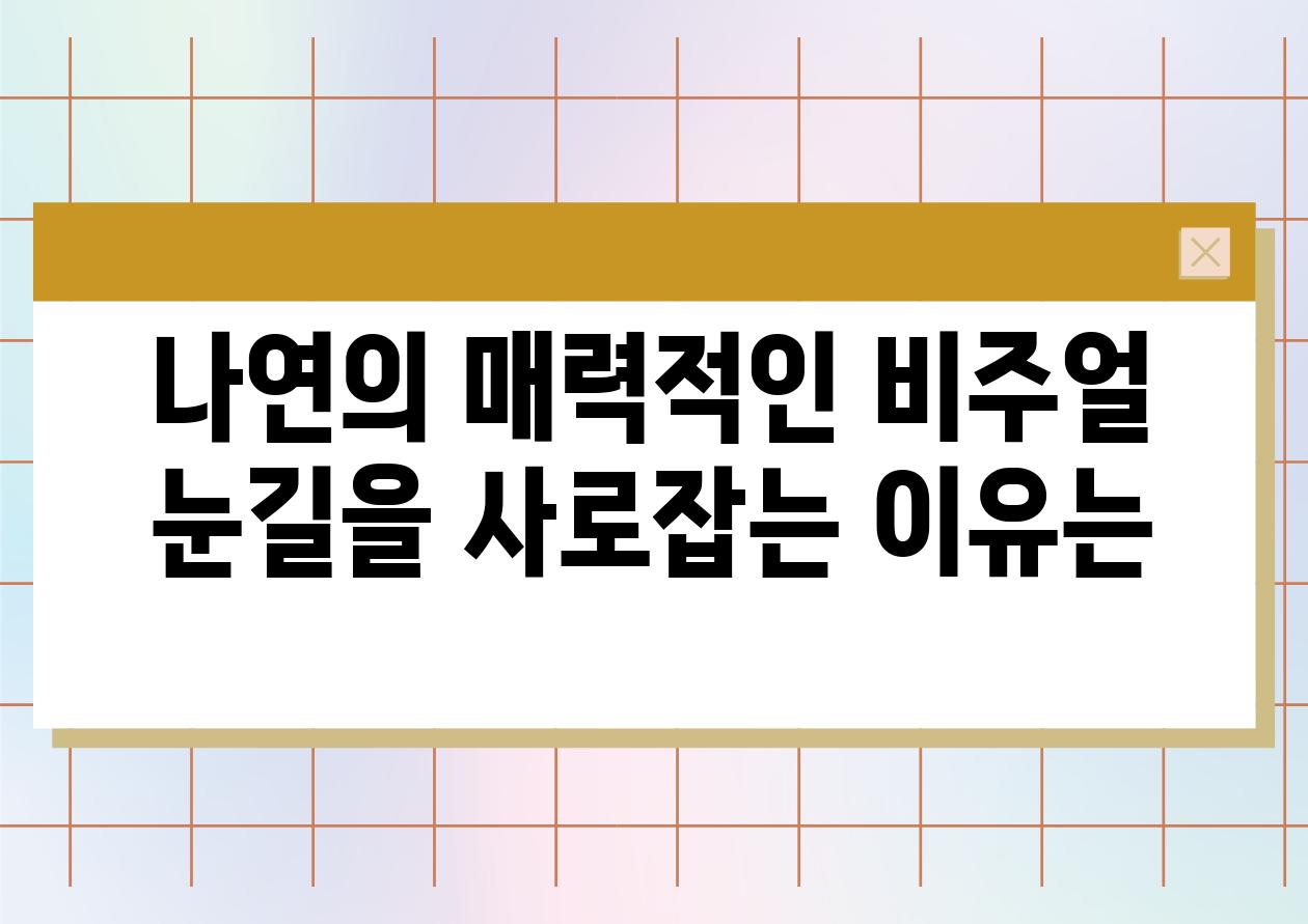 나연의 매력적인 비주얼 눈길을 사로잡는 이유는