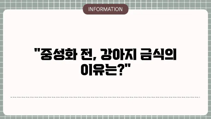 강아지 수술 후 금식