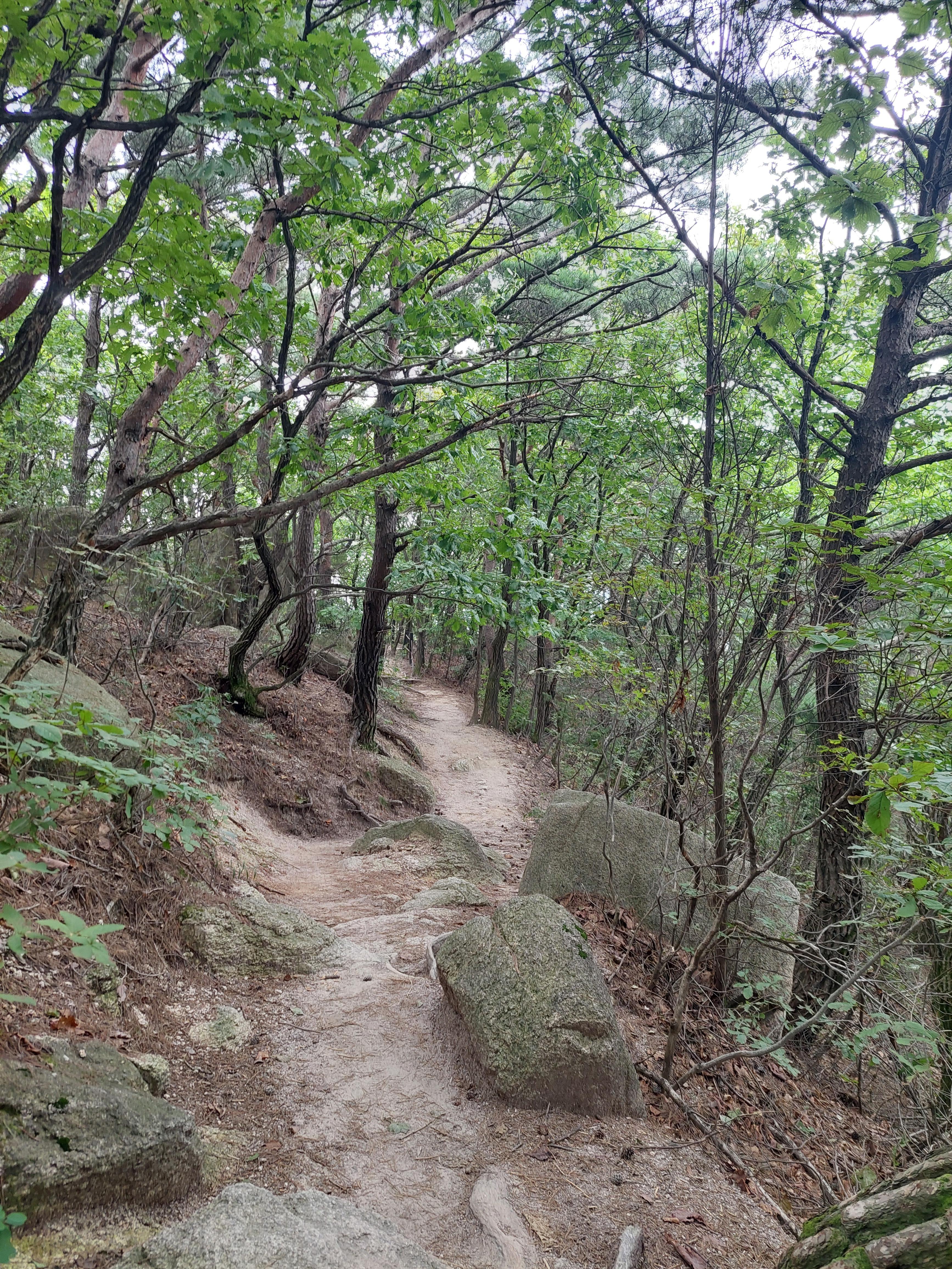 사패산