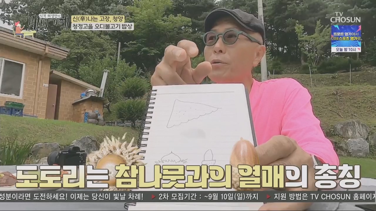 식객 허영만의 백반기행.E213.230826p.H264-F1RST.mp4_20230826_174919.193.jpg