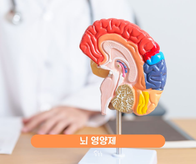 뇌 영양제 종류 포스파티딜세린