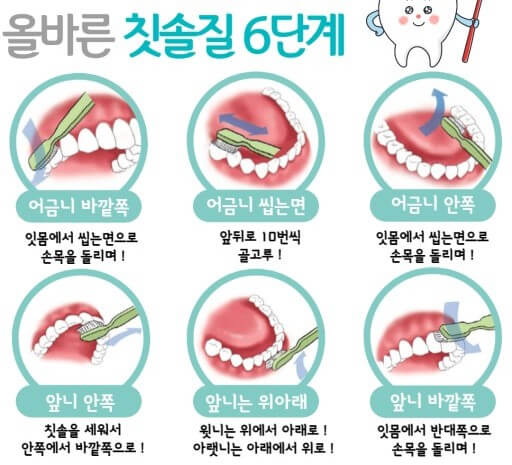 올바른 칫솔질