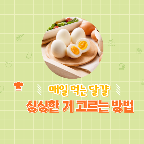  의외로 나만 몰랐던 싱싱 달걀 고르는 법