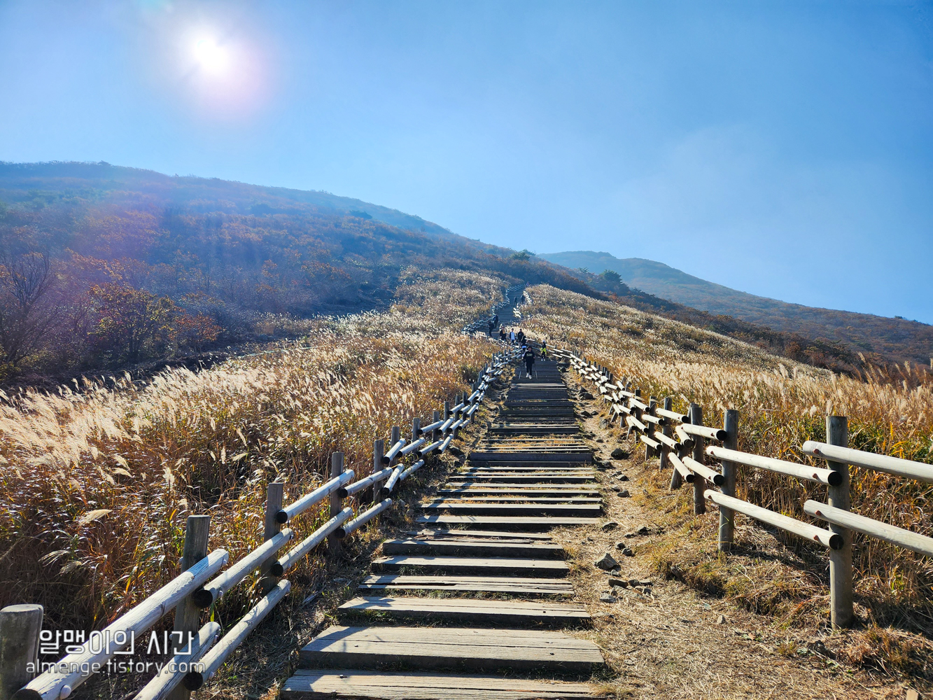 울산 신불산 백패킹 - 텐트 밖은 영남알프스 #23-2 울산 신불산 백패킹 - 텐트 밖은 영남알프스 #23-2