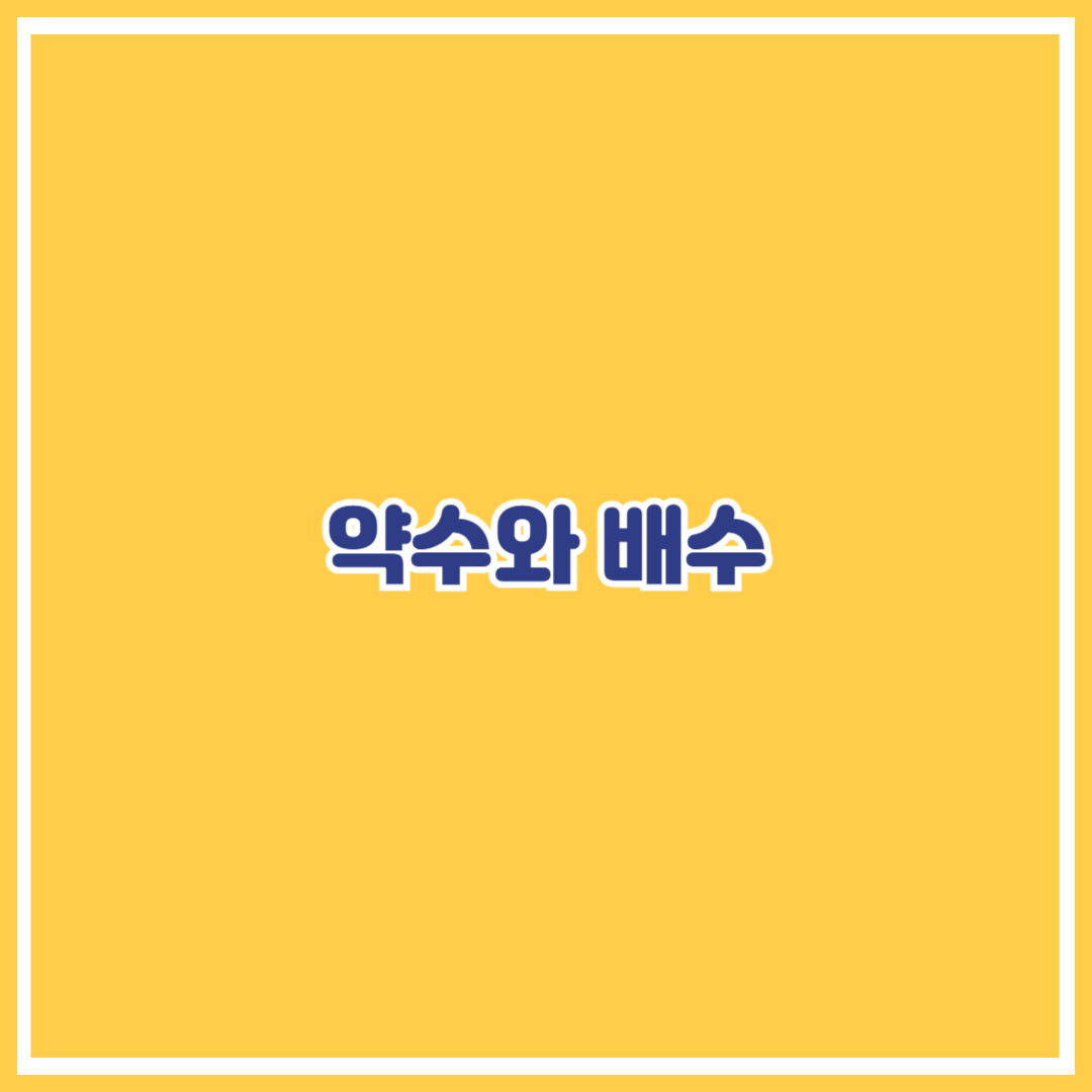 제목 약수와 배수