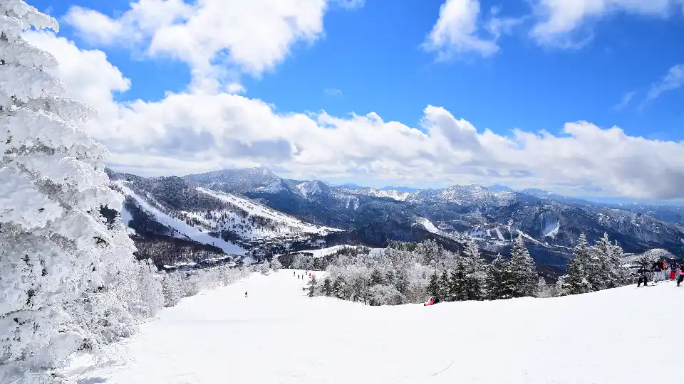일본 유명 스키장, 사진은 나가노현