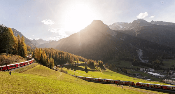 스위스-라에티안-철도가-푸른잔디와-나무가-있는-알프스산맥을-지나고-있다