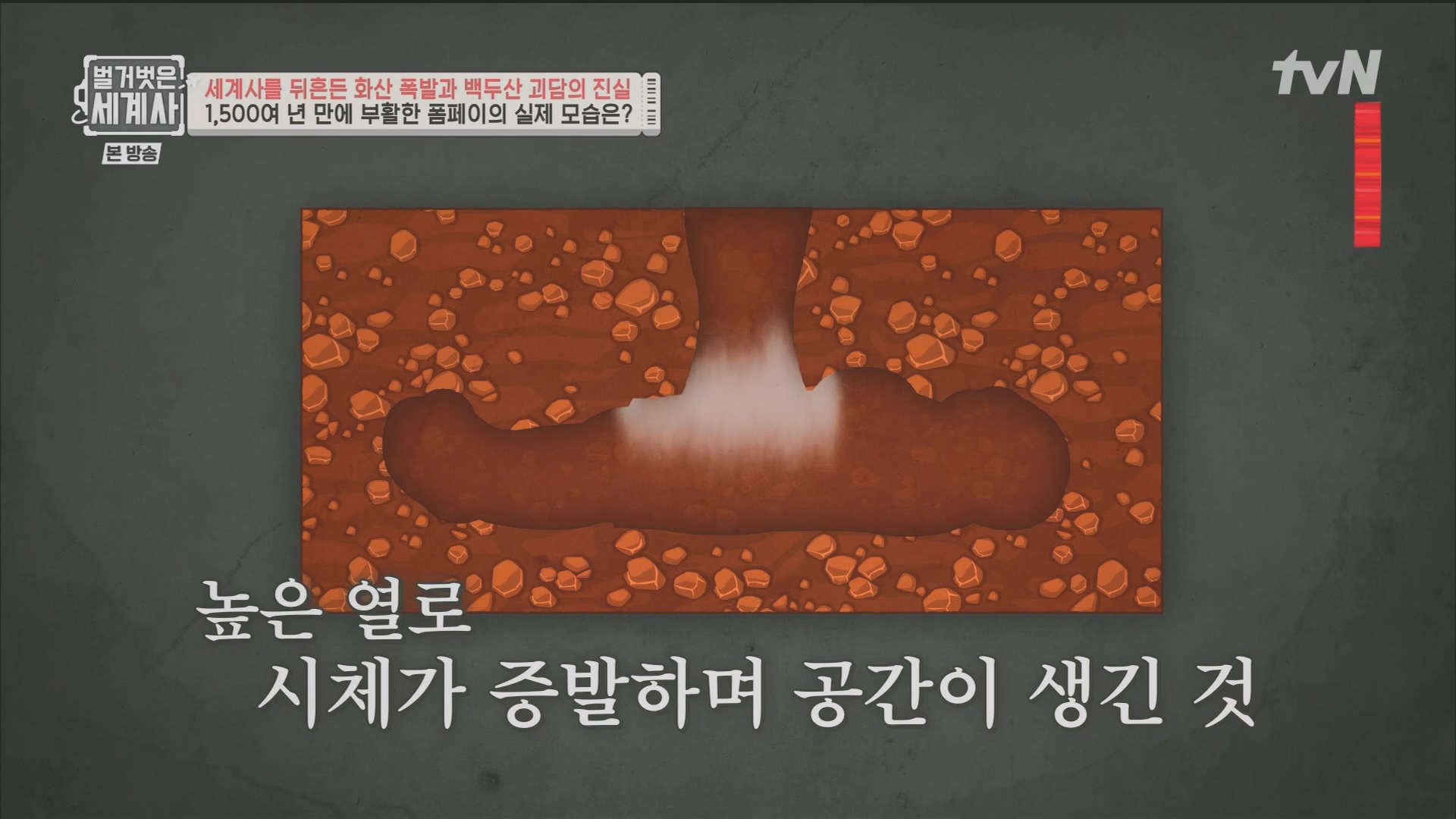 벌거벗은 세계사.E109.230725p.H264-F1RST.mp4_20240211_154614.819.jpg