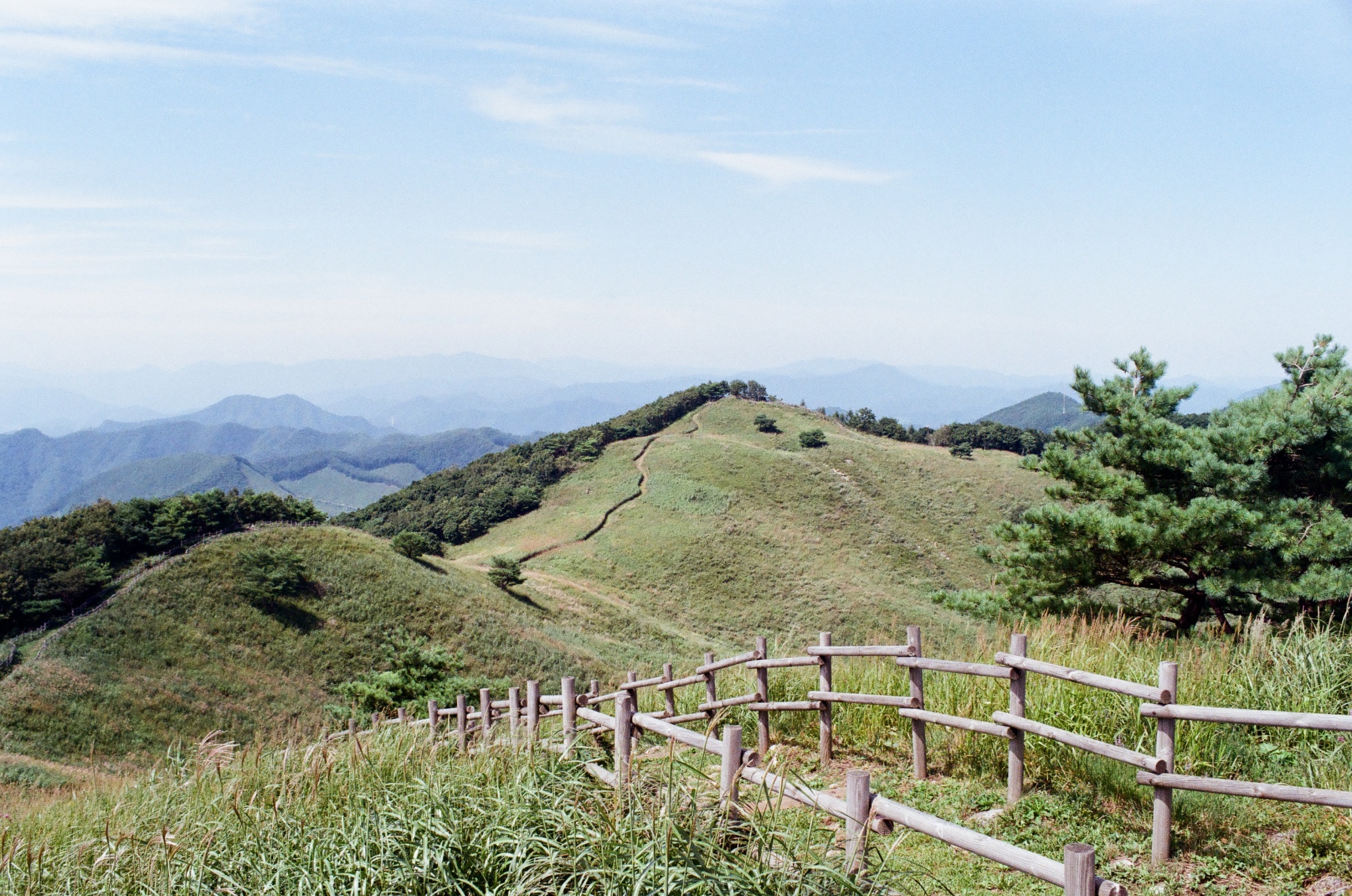 민둥산