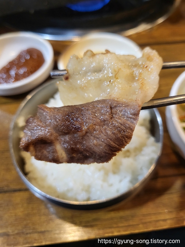 불구이돈 이미지